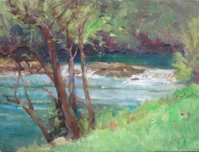 Rushing Water Barton Creek by artist Nancy Grobe